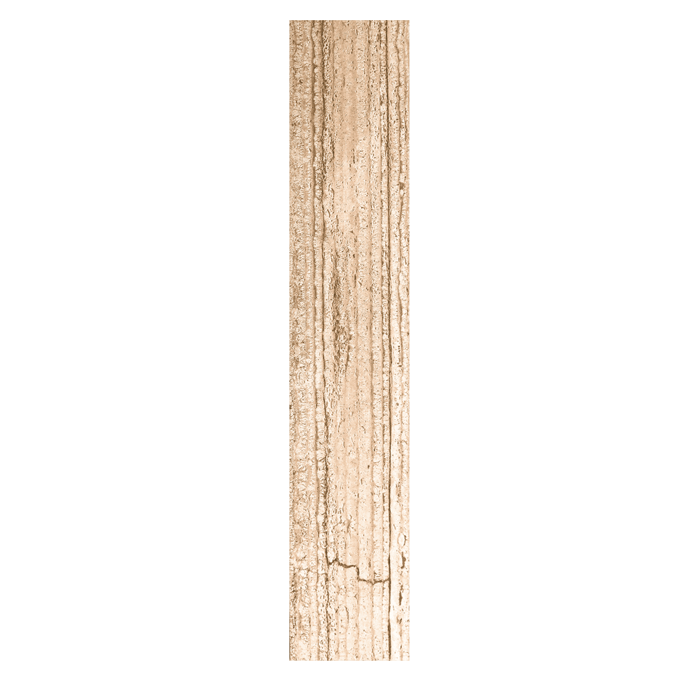 Traventine Brown Wooden Plank exporter