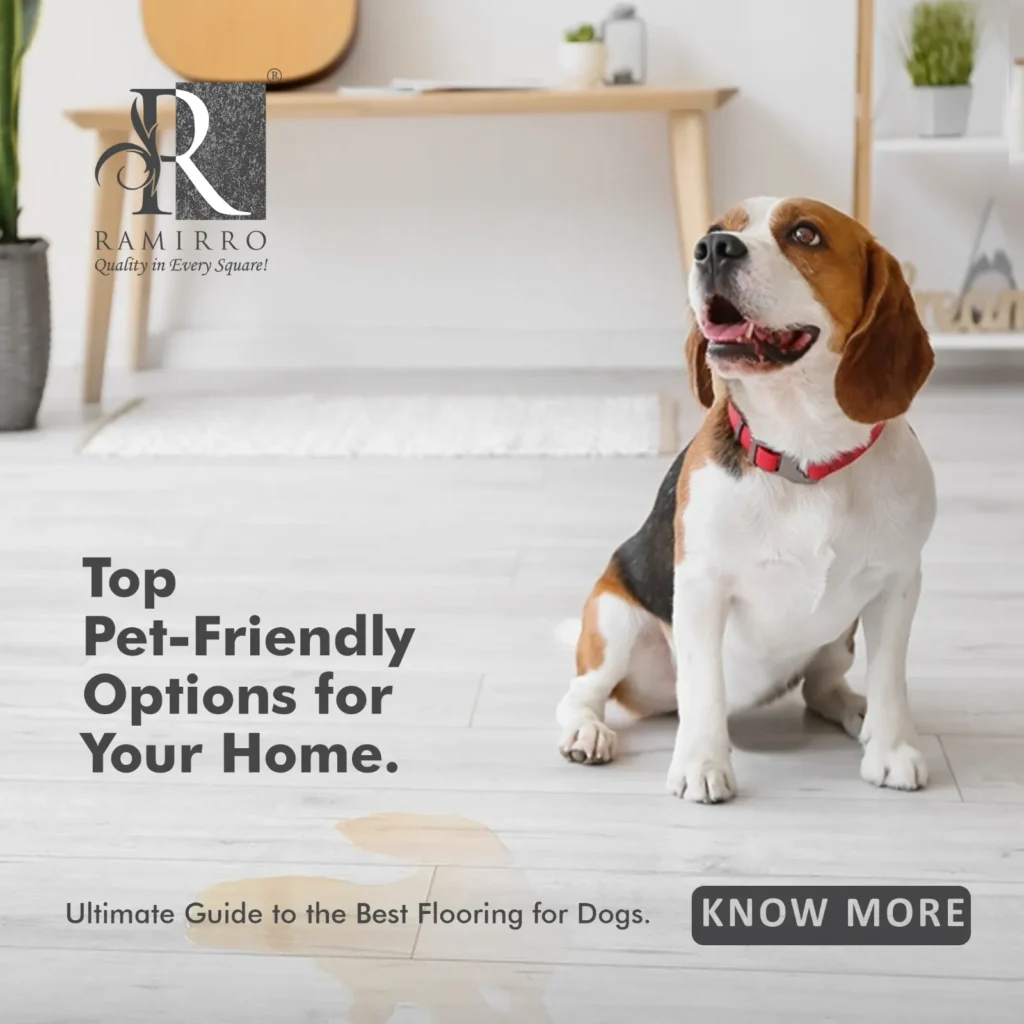 Top pet friendly tiles options for dogs